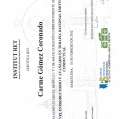 Acercar imagen: certificate 20