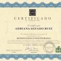 Acercar imagen: certificate 7