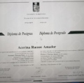 Acercar imagen: certificate 23