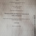 Acercar imagen: certificate 12