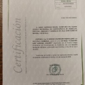 Acercar imagen: certificate 11