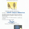 Acercar imagen: certificate 16