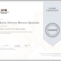 Acercar imagen: certificate 4