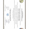Acercar imagen: certificate 5
