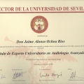 Acercar imagen: certificate 3