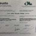 Acercar imagen: certificate 3