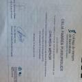 Acercar imagen: certificate 8