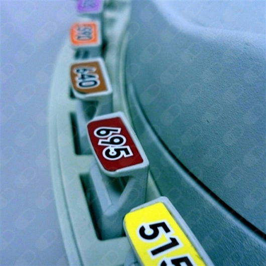 Sara Carrasco Sanchez-18