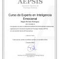 Acercar imagen: certificate 19