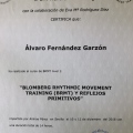 Acercar imagen: certificate 11