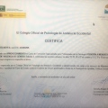 Acercar imagen: certificate 9