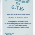 Acercar imagen: certificate 2