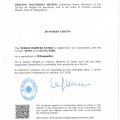 Acercar imagen: certificate 5