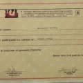 Acercar imagen: certificate 5