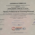 Acercar imagen: certificate 9