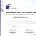 Acercar imagen: certificate 1