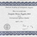 Acercar imagen: certificate 9