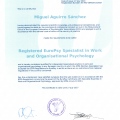 Acercar imagen: certificate 6
