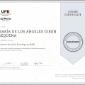 Acercar imagen: certificate 5
