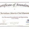 Acercar imagen: certificate 8
