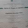 Acercar imagen: certificate 3