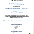 Acercar imagen: certificate 26