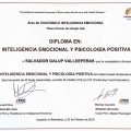 Acercar imagen: certificate 7