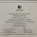 Acercar imagen: certificate 8