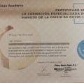Acercar imagen: certificate 2