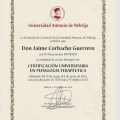 Acercar imagen: certificate 5