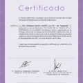 Acercar imagen: certificate 13