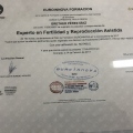 Acercar imagen: certificate 2