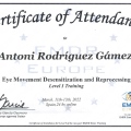 Acercar imagen: certificate 4