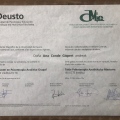 Acercar imagen: certificate 5