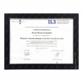 Acercar imagen: certificate 3