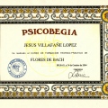 Acercar imagen: certificate 20