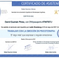 Acercar imagen: certificate 13