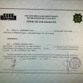 Acercar imagen: certificate 6
