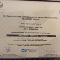 Acercar imagen: certificate 5
