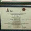 Acercar imagen: certificate 5