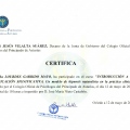 Acercar imagen: certificate 3