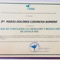 Acercar imagen: certificate 12