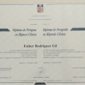 Acercar imagen: certificate 4