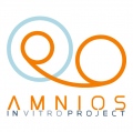 Amnios In Vitro ProjectMadrid - 