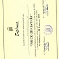 Acercar imagen: certificate 17