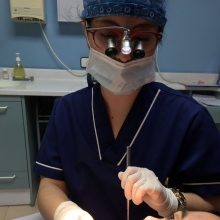 Acercar imagen: Isabel González Puerto, Dentista Madrid