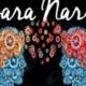 Sara Narro Gómez