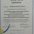 Acercar imagen: certificate 3