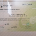 Acercar imagen: certificate 6