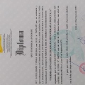 Acercar imagen: certificate 12